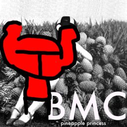 Pineapple Princess | Expert+ | Beat Saber leaderboard